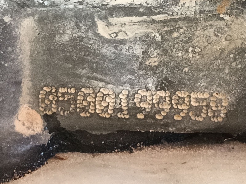 Recambio de culata para jaguar xf i (x250) 2.7 d referencia OEM IAM C2C19491 4R806C064 