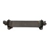 Recambio de intercooler para ford mondeo iii (b5y) 2.0 tdci referencia OEM IAM 1313503 868963A 