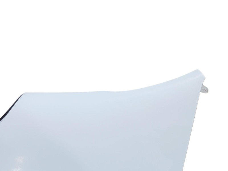 Recambio de aleta delantera izquierda para renault master iii furgoneta (fv) 2.3 dci 125 fwd (fv0c, fv0d, fv0g, fv0h, fv0j, fv0k