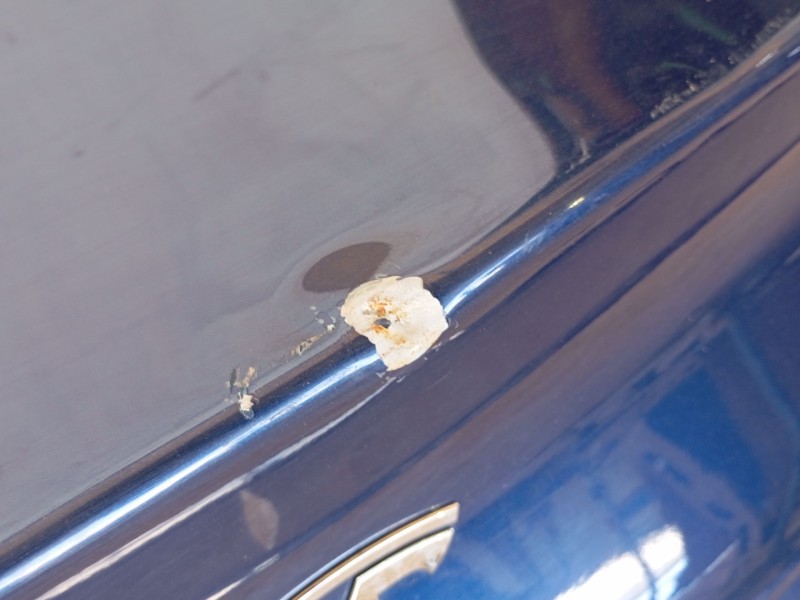 Recambio de porton trasero para tesla model 3 (5yj3) ev awd referencia OEM IAM   