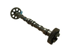 Recambio de arbol de levas para fiat nuova 500 (150) pop referencia OEM IAM 46823507  