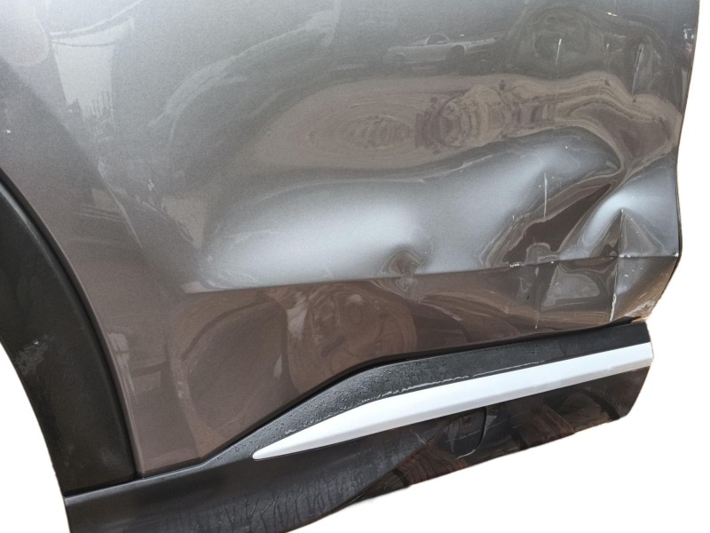 Recambio de puerta trasera derecha para byd seal u referencia OEM IAM   