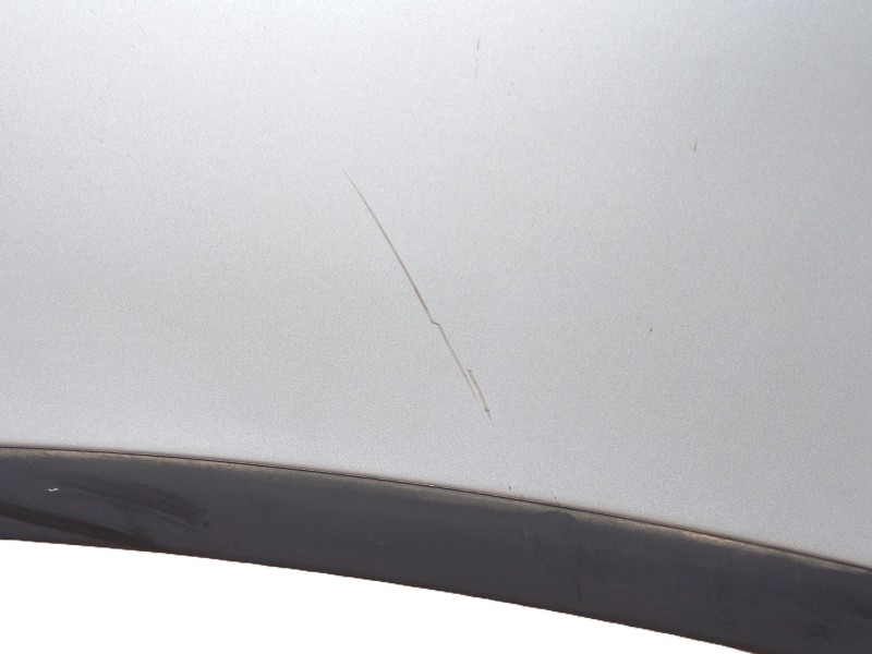 Recambio de capot para volkswagen golf plus v (5m1, 521) 1.9 tdi referencia OEM IAM 5M0823031F  