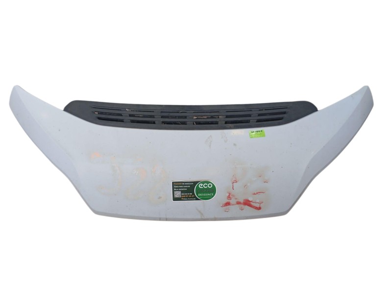 Recambio de capot para fiat ducato caja/chasis (250_) 150 multijet 2,3 d referencia OEM IAM   