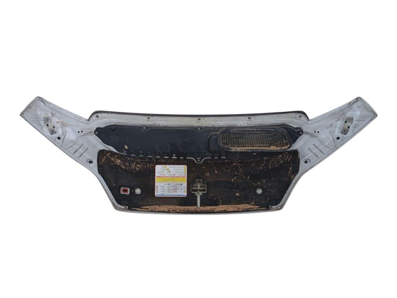 Recambio de capot para fiat ducato caja/chasis (250_) 150 multijet 2,3 d referencia OEM IAM   