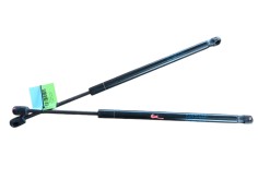 Recambio de amortiguadores capo para tesla model s (5yjs) referencia OEM IAM  783225 