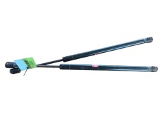 Recambio de amortiguadores capo para tesla model 3 (5yj3) ev awd referencia OEM IAM  2175370235N 