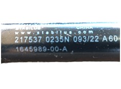 Recambio de amortiguadores capo para tesla model 3 (5yj3) ev awd referencia OEM IAM  2175370235N  2