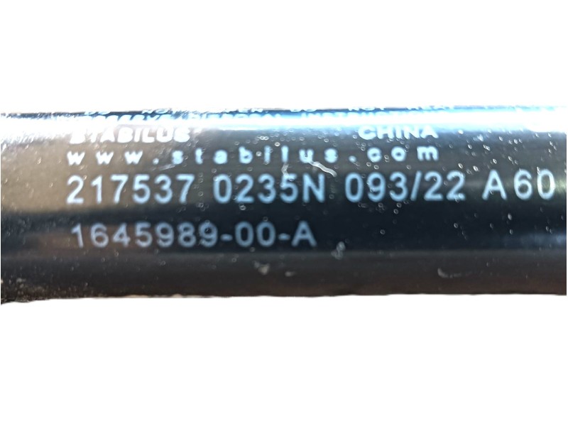 Recambio de amortiguadores capo para tesla model 3 (5yj3) ev awd referencia OEM IAM  2175370235N 