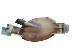 Recambio de deposito expansion para nissan nv400 furgoneta (x62, x62b) dci 125 referencia OEM IAM    2