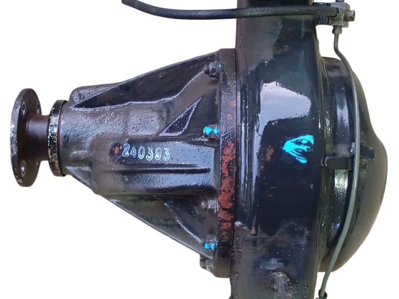 Recambio de diferencial trasero para nissan terrano ii (r20) 2.7 td 4wd referencia OEM IAM  430100F004 