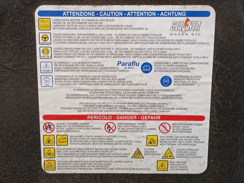 Recambio de capot para fiat ducato furgoneta (250_) 115 multijet 2,0 d referencia OEM IAM   