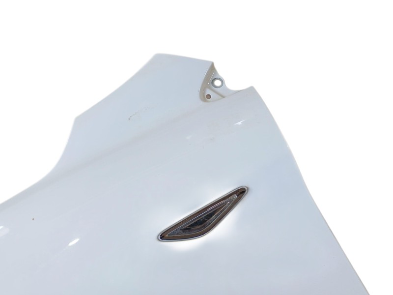 Recambio de aleta delantera izquierda para ford ka+ iii (uk, fk) 1.2 referencia OEM IAM 1904951  