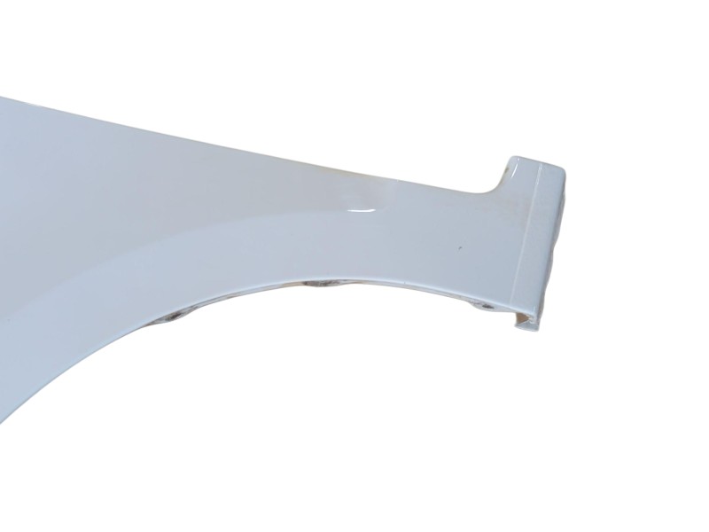 Recambio de aleta delantera izquierda para ford ka+ iii (uk, fk) 1.2 referencia OEM IAM 1904951  