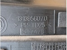 Recambio de guantera para fiat ducato furgoneta (250_) 115 multijet 2,0 d referencia OEM IAM  1313956070  2