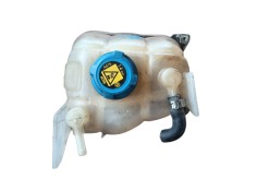 Recambio de deposito expansion para fiat ducato furgoneta (250_) 115 multijet 2,0 d referencia OEM IAM    2