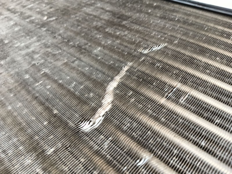 Recambio de radiador agua para audi a3 sportback (8pa) 1.6 fsi referencia OEM IAM 1K0121251BR 1K0121251P 