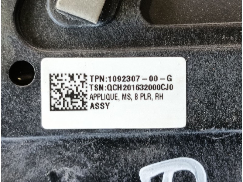 Recambio de moldura para tesla model s (5yjs) referencia OEM IAM   