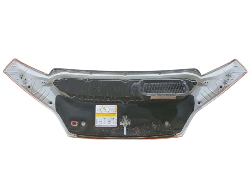 Recambio de capot para fiat ducato furgoneta (250_) 140 multijet 2,2 d referencia OEM IAM   