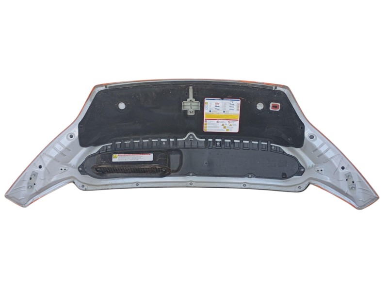 Recambio de capot para fiat ducato furgoneta (250_) 140 multijet 2,2 d referencia OEM IAM   