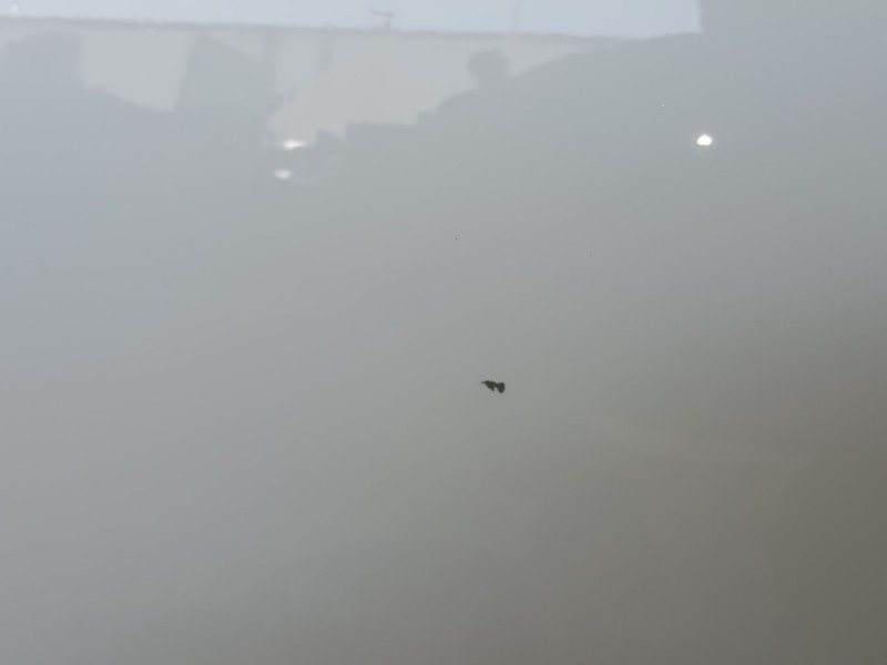 Recambio de puerta delantera izquierda para mercedes-benz cla (c118) cla 180 (118.384) referencia OEM IAM   