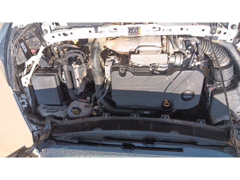 opel astra k (b16) del año 2019