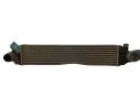 INTERCOOLER 12345611 420810582 