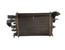 INTERCOOLER 214106421R 