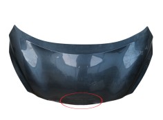 Recambio de capot para nissan micra v (k14) 1.0 dig-t 117 referencia OEM IAM   