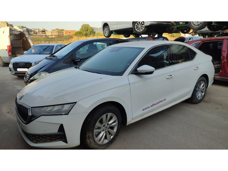 skoda octavia iv (nx3, nn3, pv3) del año 2024