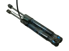 Recambio de amortiguadores capo para bmw 1 (f20) 118 i referencia OEM IAM   