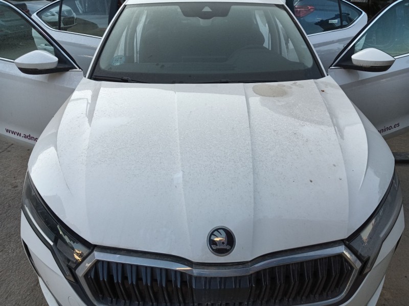 Recambio de capot para skoda octavia iv (nx3, nn3, pv3) 2.0 tdi referencia OEM IAM   