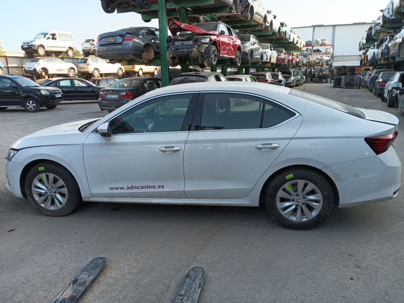 skoda octavia iv (nx3, nn3, pv3) del año 2024