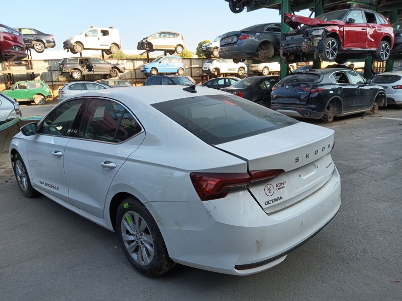 skoda octavia iv (nx3, nn3, pv3) del año 2024