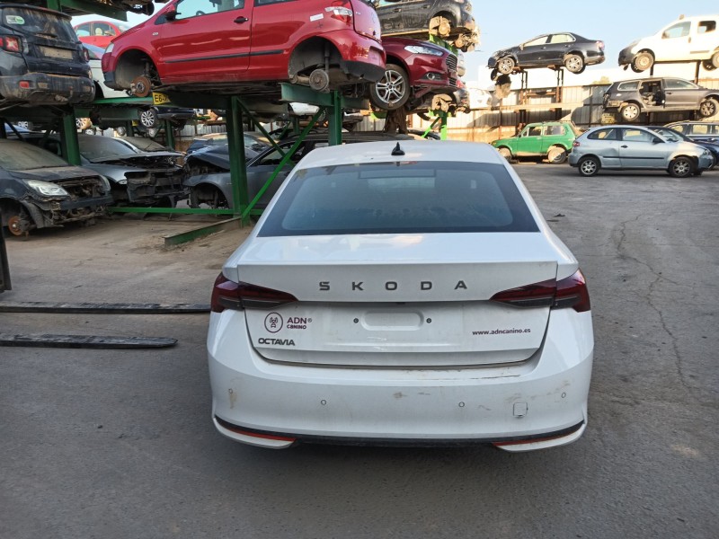 skoda octavia iv (nx3, nn3, pv3) del año 2024