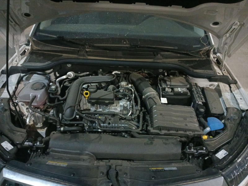 skoda kamiq (nw4) del año 2024