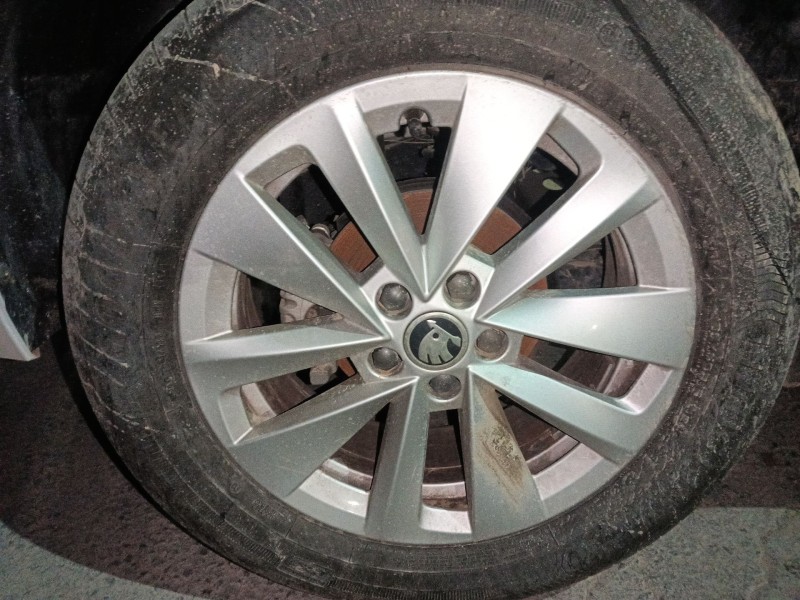 skoda kamiq (nw4) del año 2024