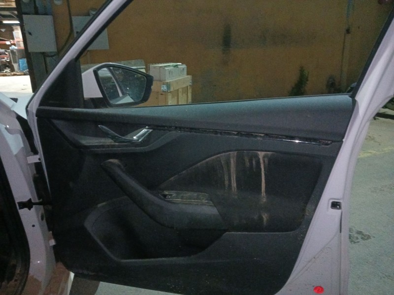 skoda kamiq (nw4) del año 2024