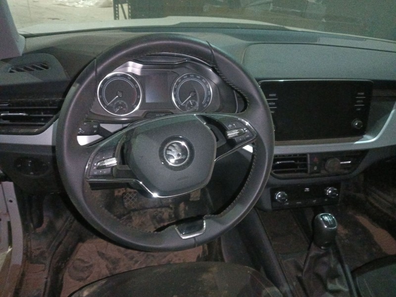 skoda kamiq (nw4) del año 2024